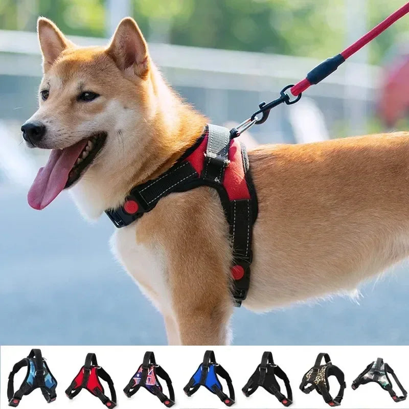 Stylish, sleek, and durable harness for maximum comfort and security on walks