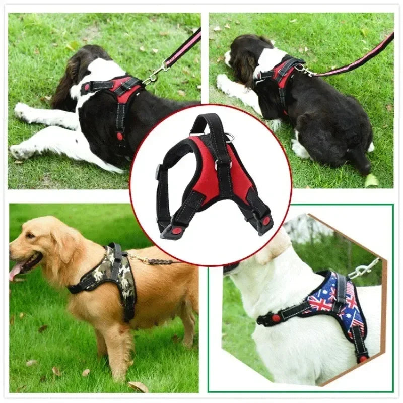 Stylish, sleek, and durable harness for maximum comfort and security on walks