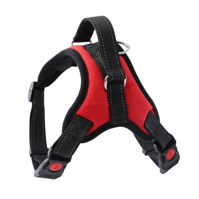 Stylish, sleek, and durable harness for maximum comfort and security on walks