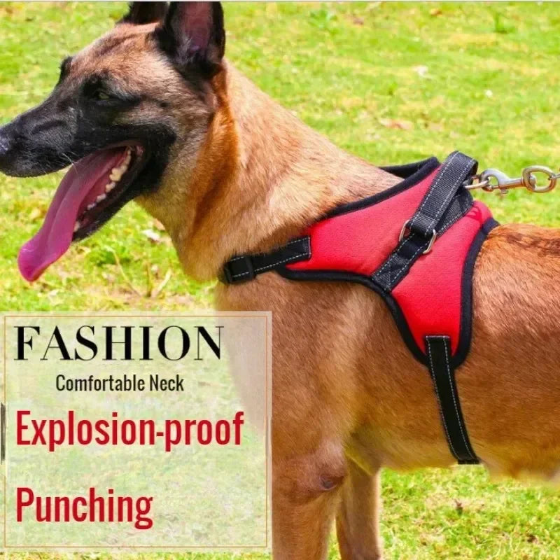 Stylish, sleek, and durable harness for maximum comfort and security on walks