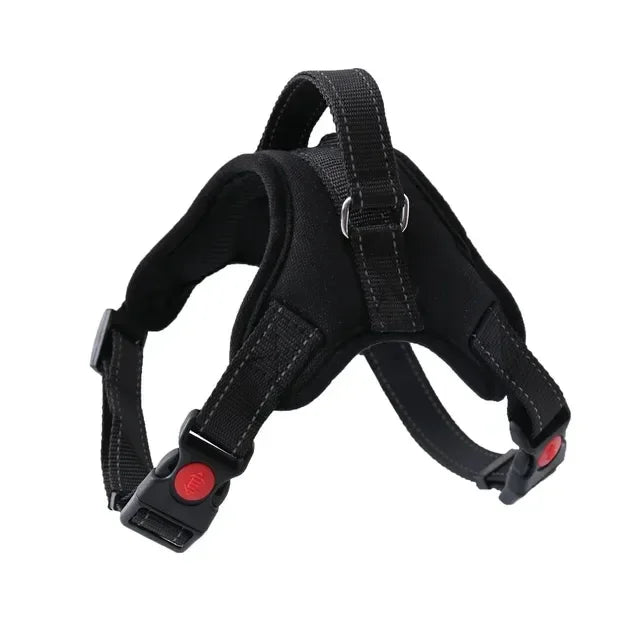 Stylish, sleek, and durable harness for maximum comfort and security on walks