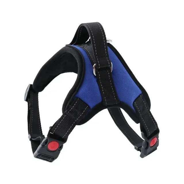 Stylish, sleek, and durable harness for maximum comfort and security on walks